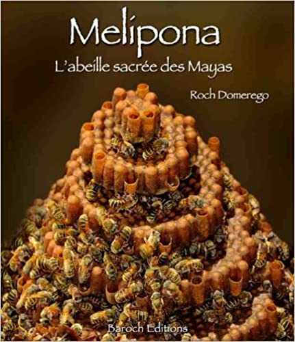 Melipona – L’abeille sacrée des Mayas par Roch Domerego