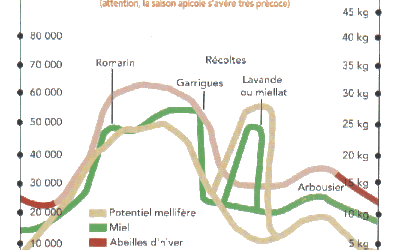 Cycles biologiques des colonies d’abeilles en France